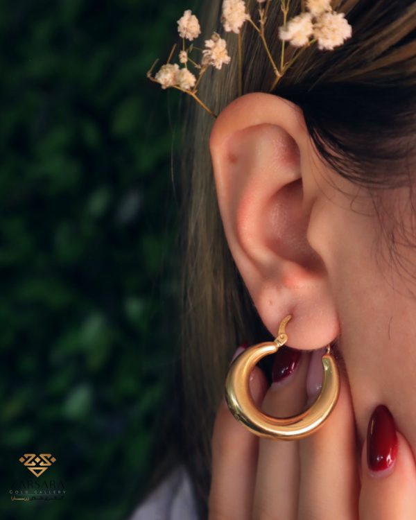 گوشواره پروفیلی حلقه ای - Image 2