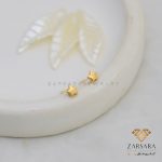 گوشواره میخی ستاره کد 10985